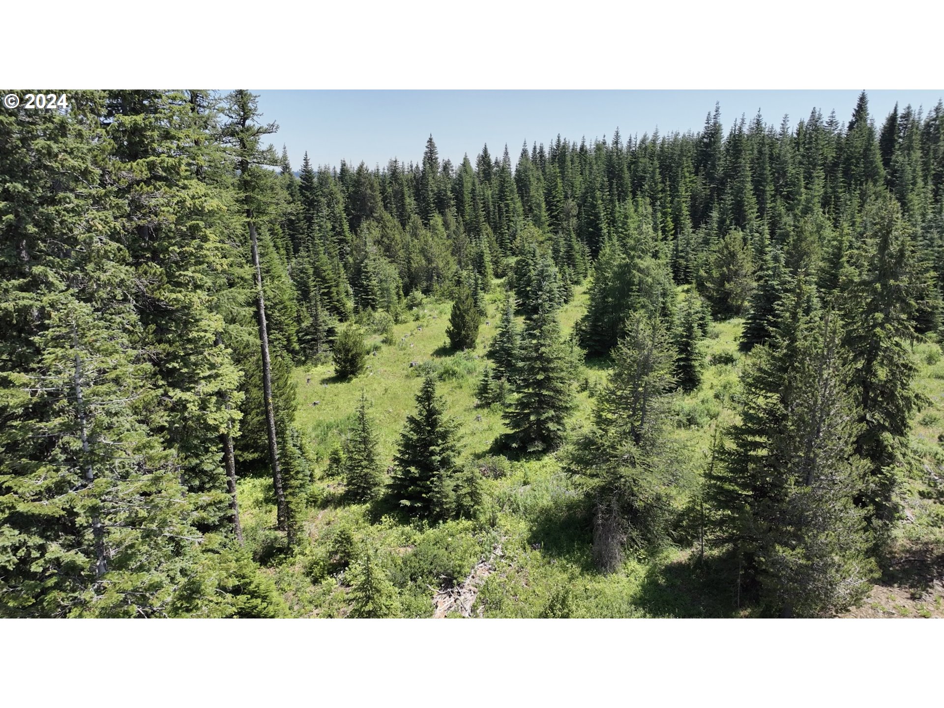 0 Vacant Land Property Photo 21