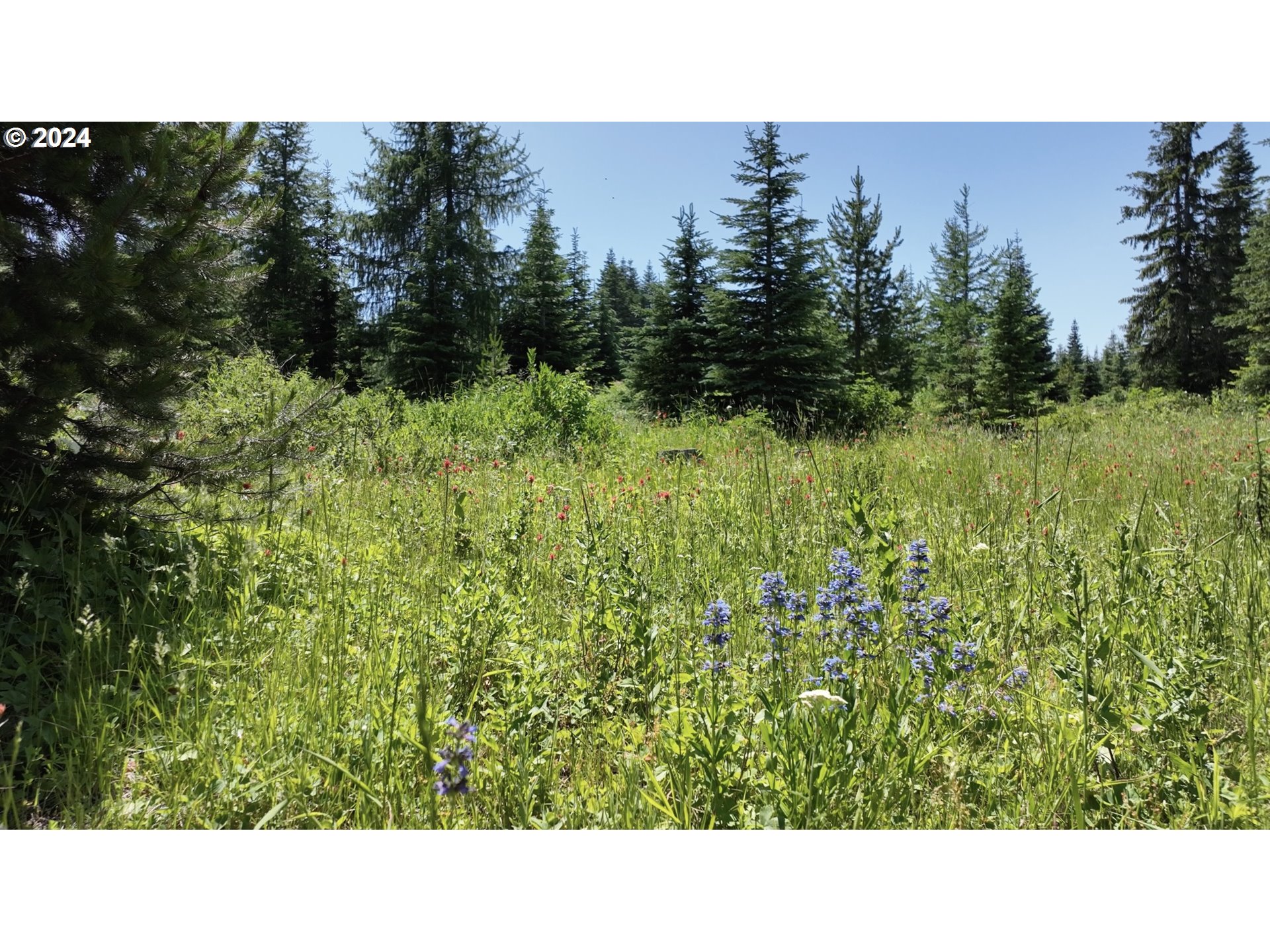 0 Vacant Land Property Photo 22