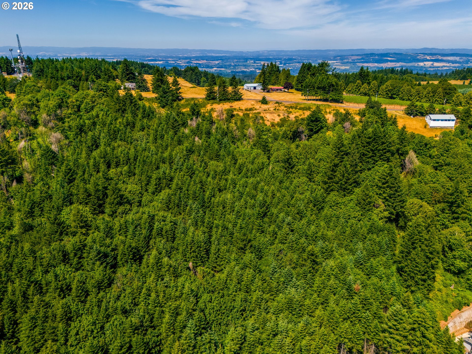 Mountain Top Property Photo 5