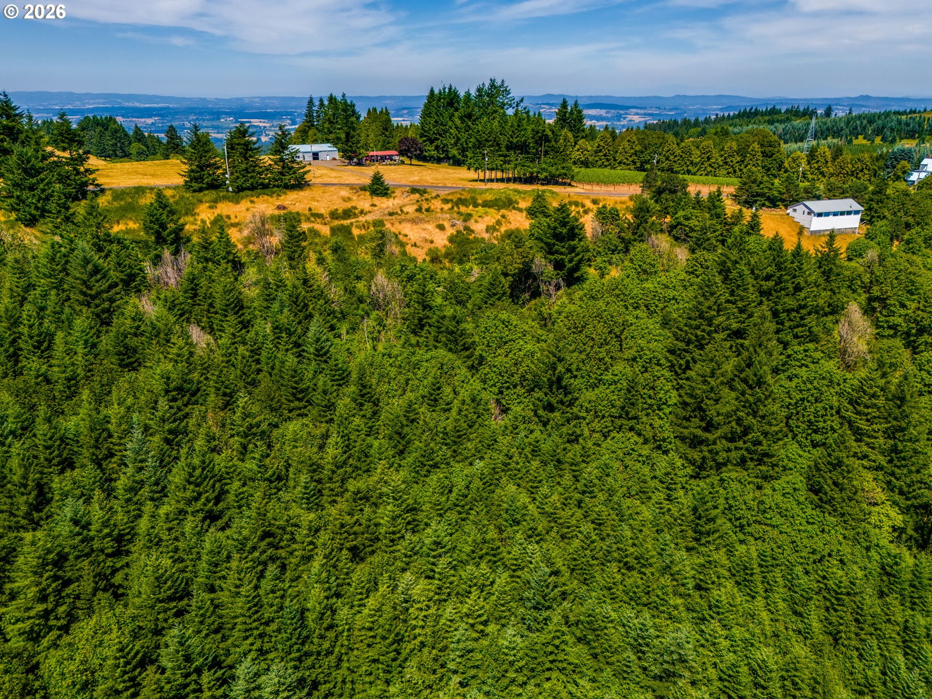 Mountain Top Property Photo 7