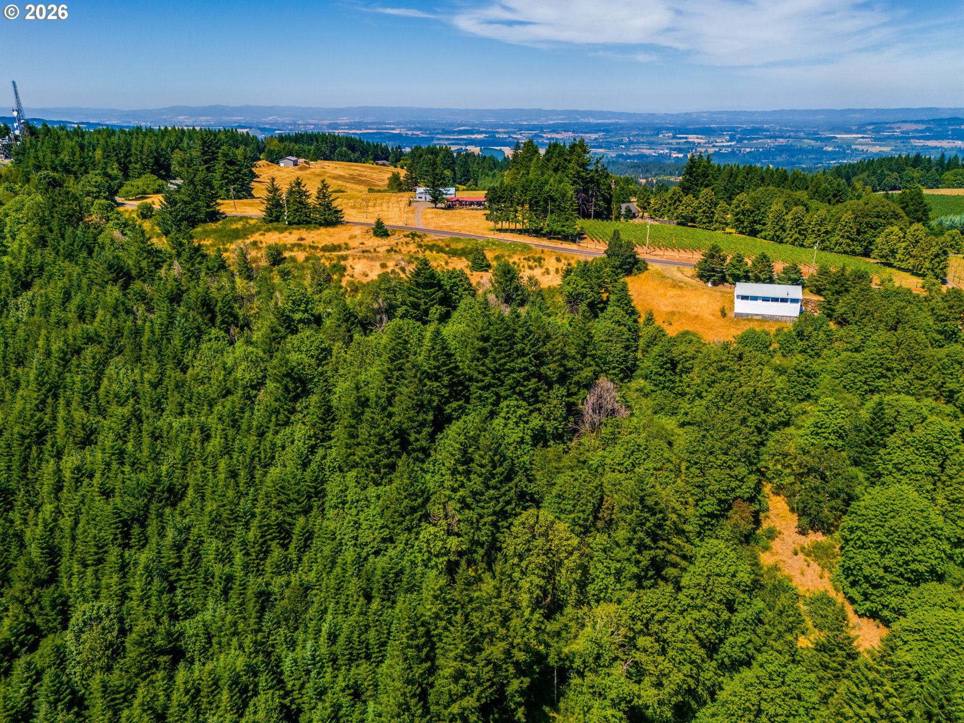 Mountain Top Property Photo 18