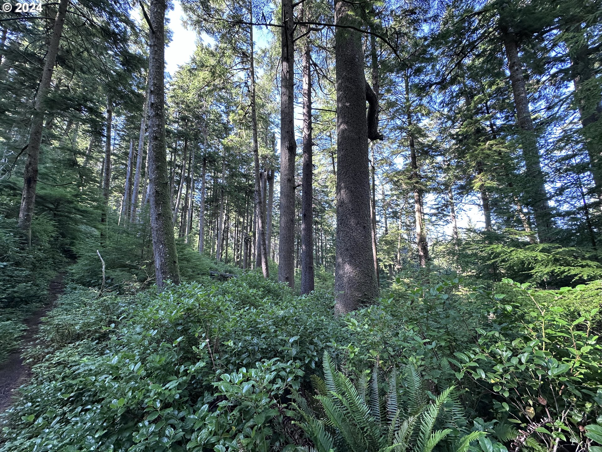 Shingle Mill Property Photo 16