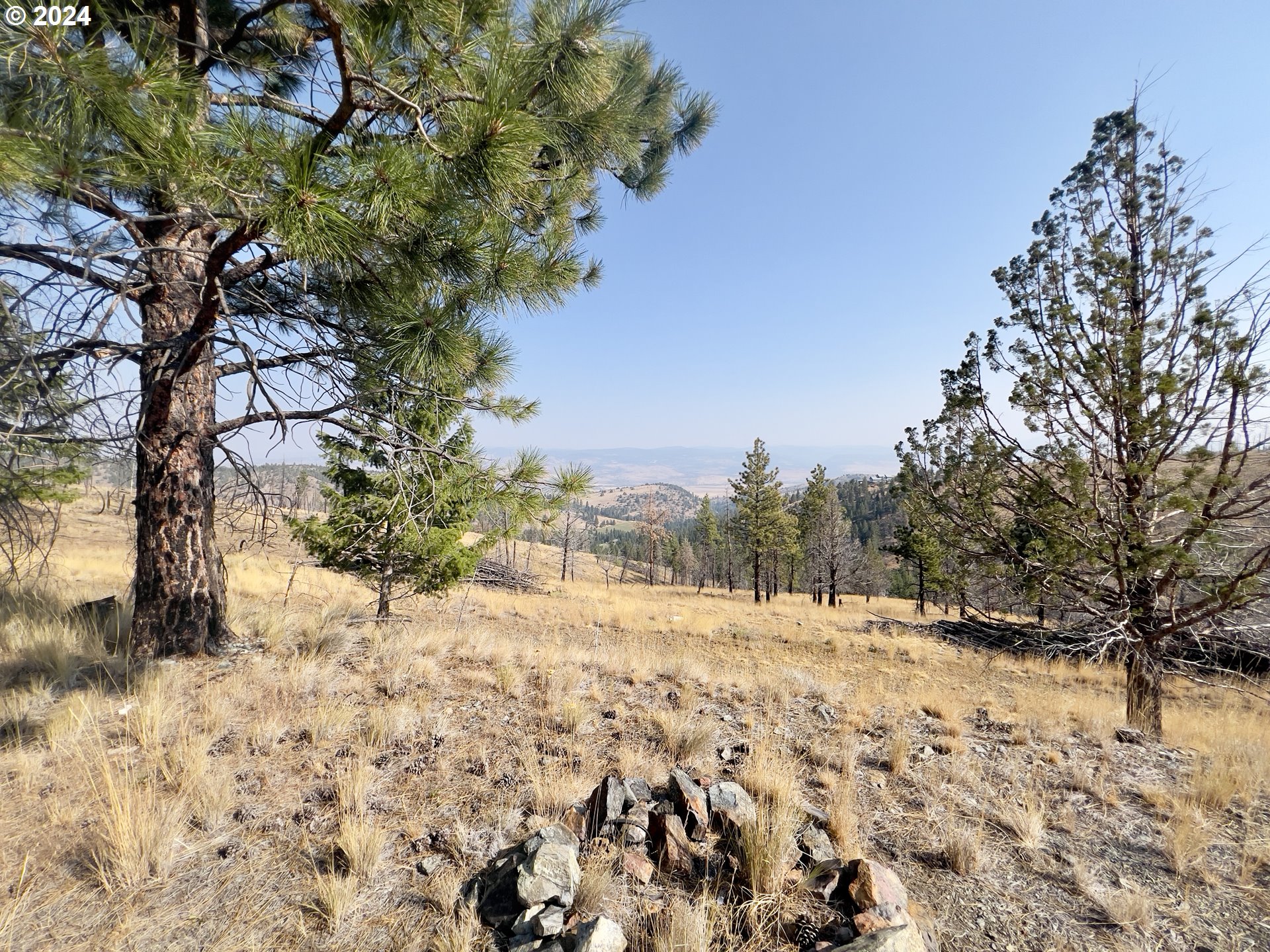 25361 Baldy Mountain Rd Property Photo 1