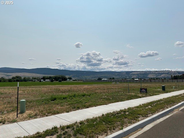 10701 Greg Ln Property Photo 1