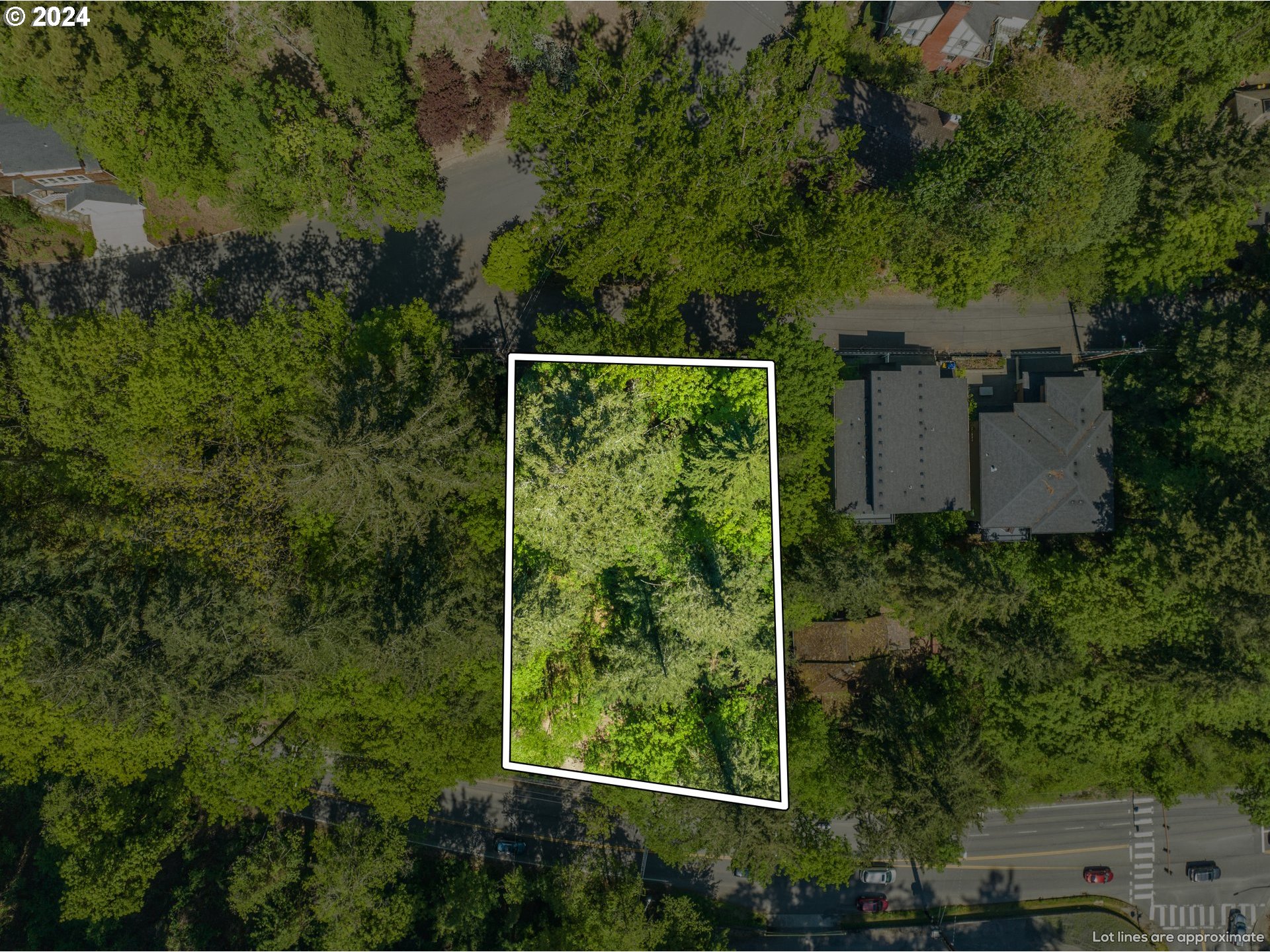Nw Santanita Ter Property Photo 6