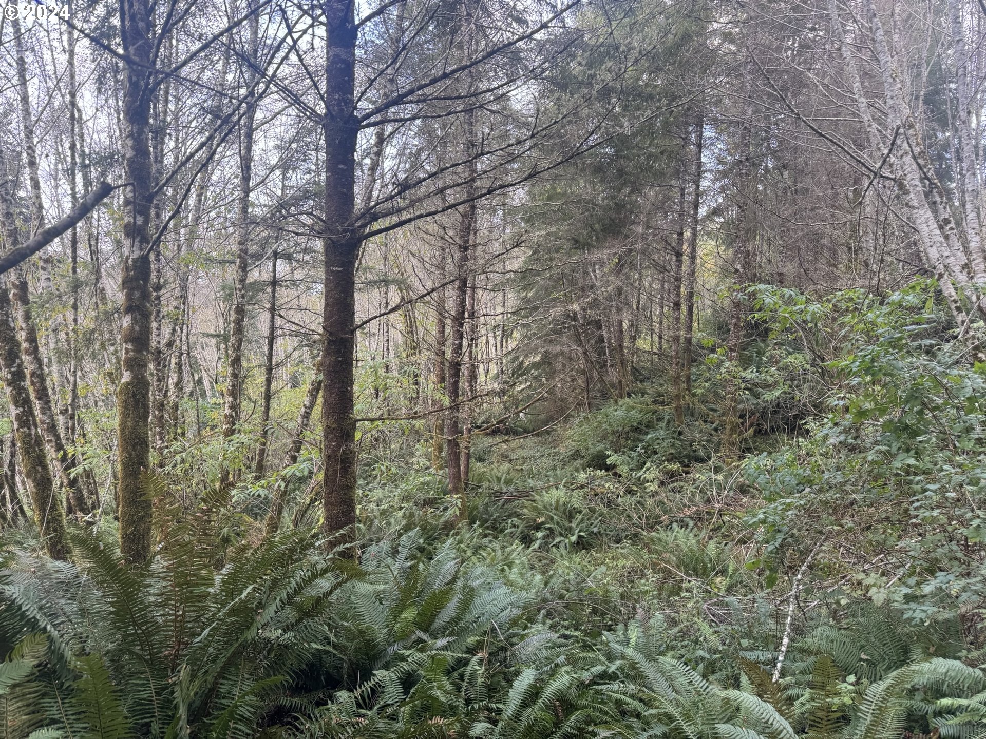 1 Potato Bottom Rd 601 Property Photo 10