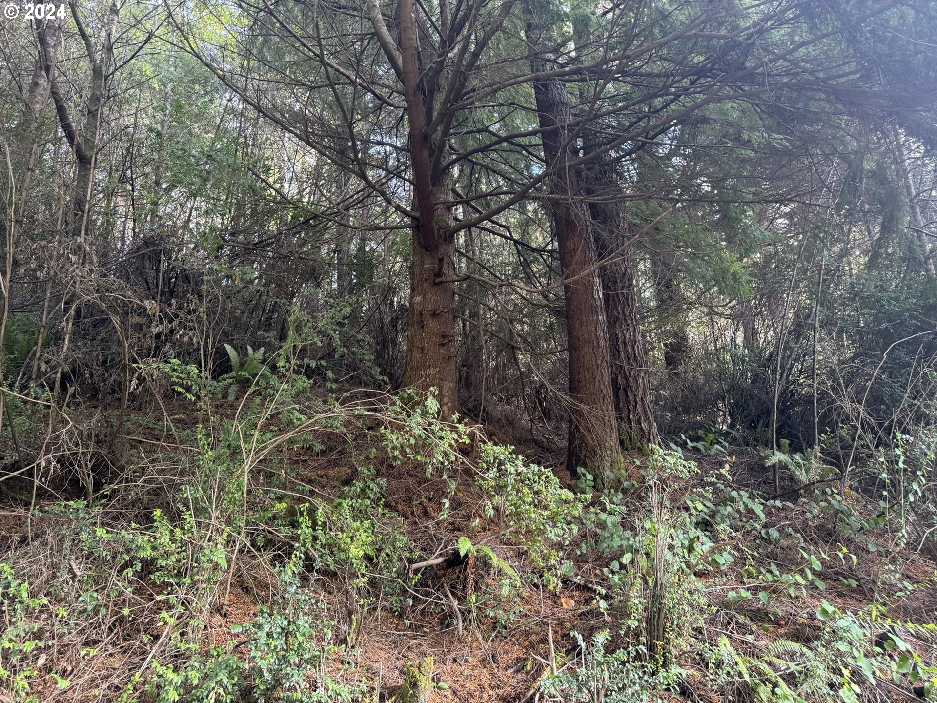 1 Potato Bottom Rd 601 Property Photo 13