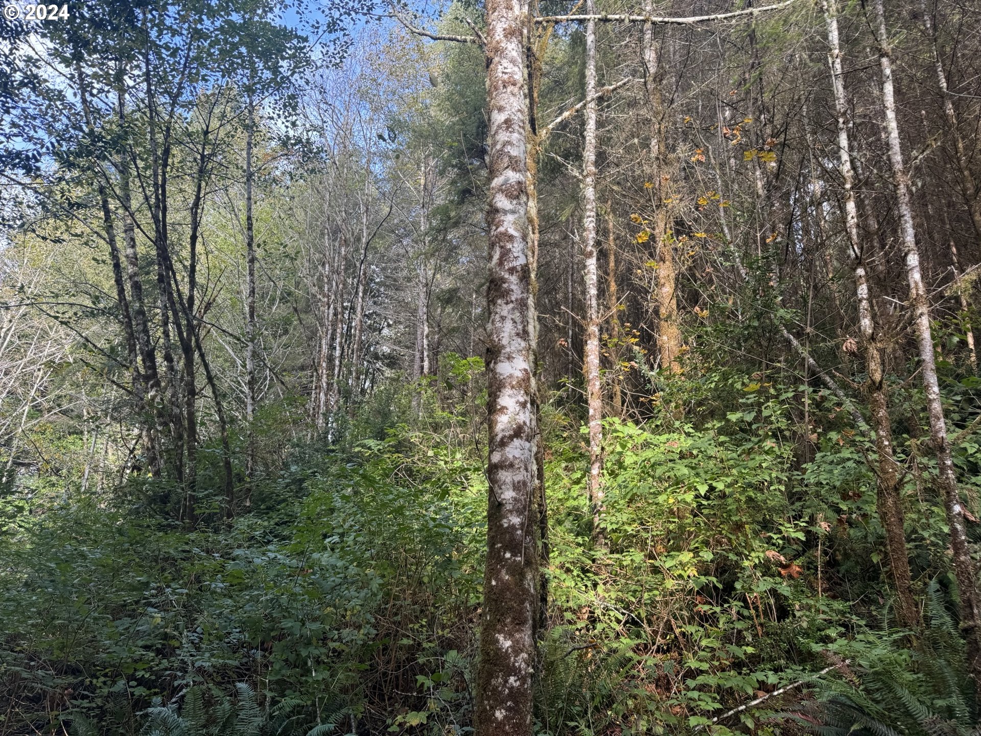 1 Potato Bottom Rd 601 Property Photo 14
