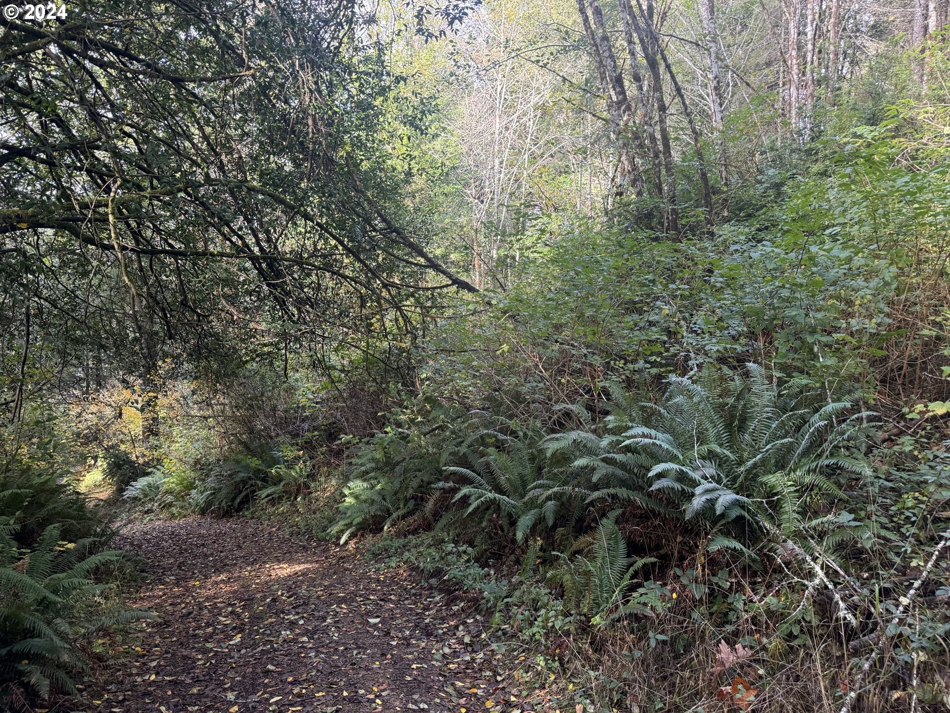 1 Potato Bottom Rd 601 Property Photo 15