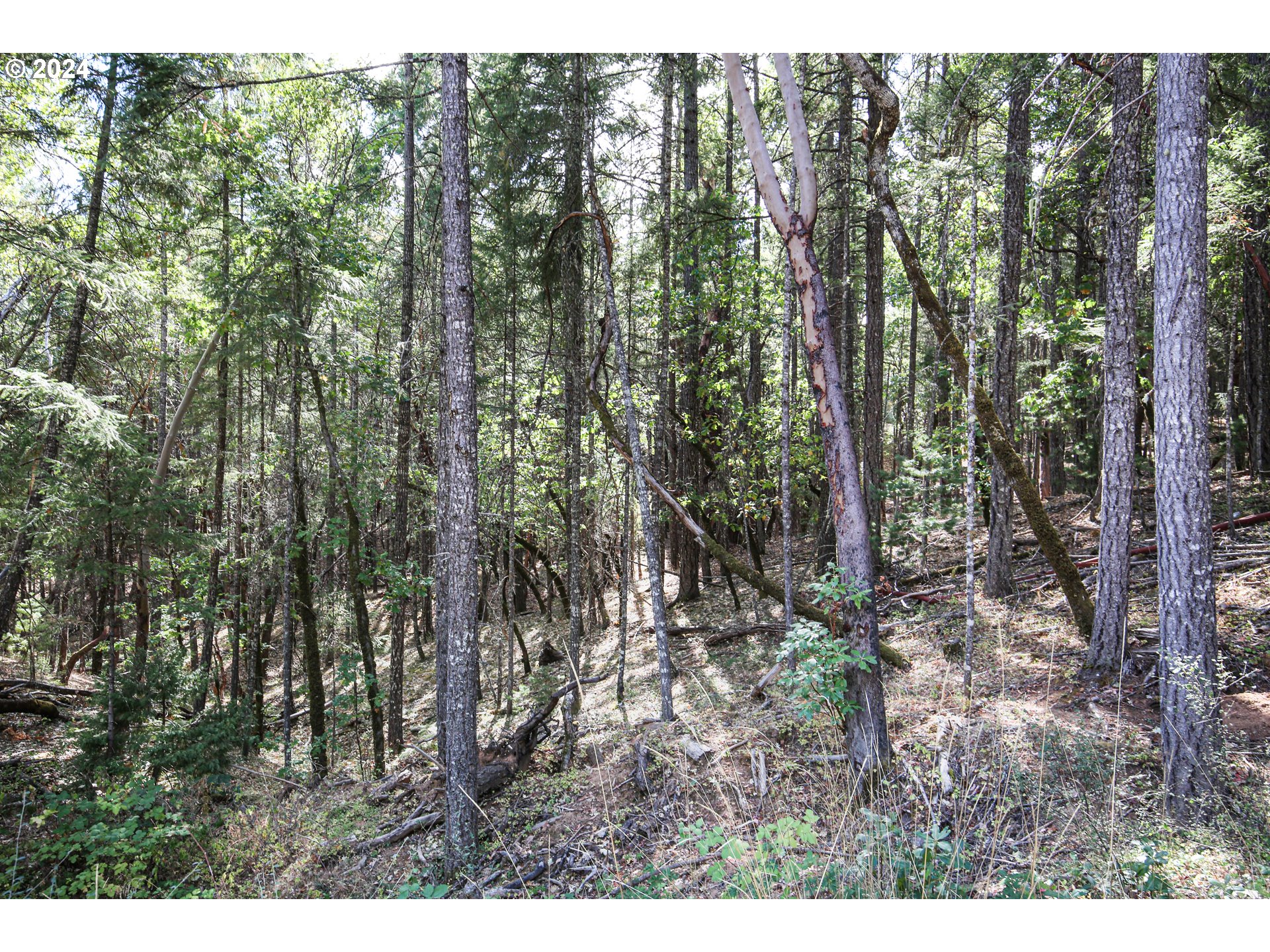 Quartz Creek Rd Property Photo 2