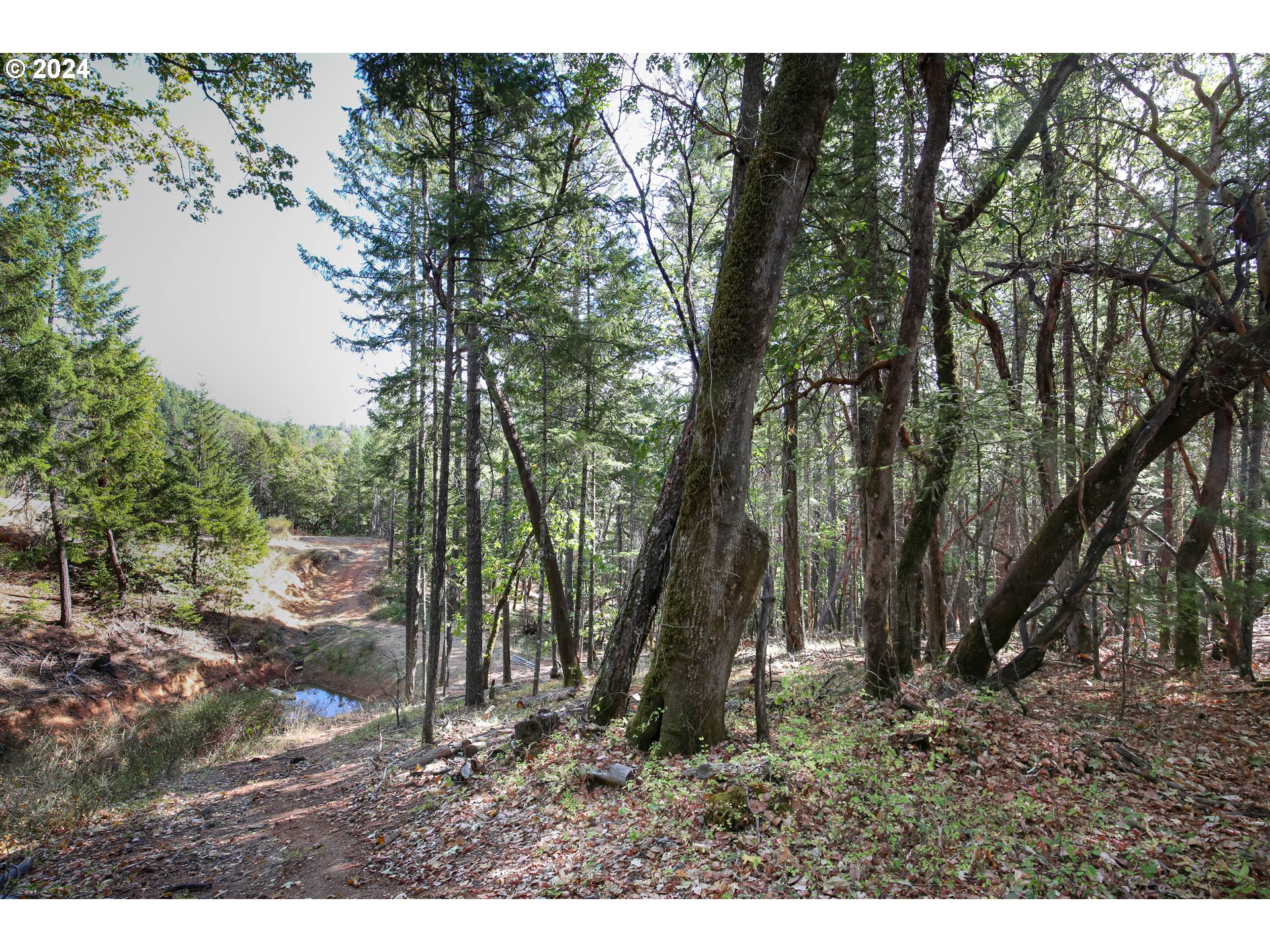 Quartz Creek Rd Property Photo 12