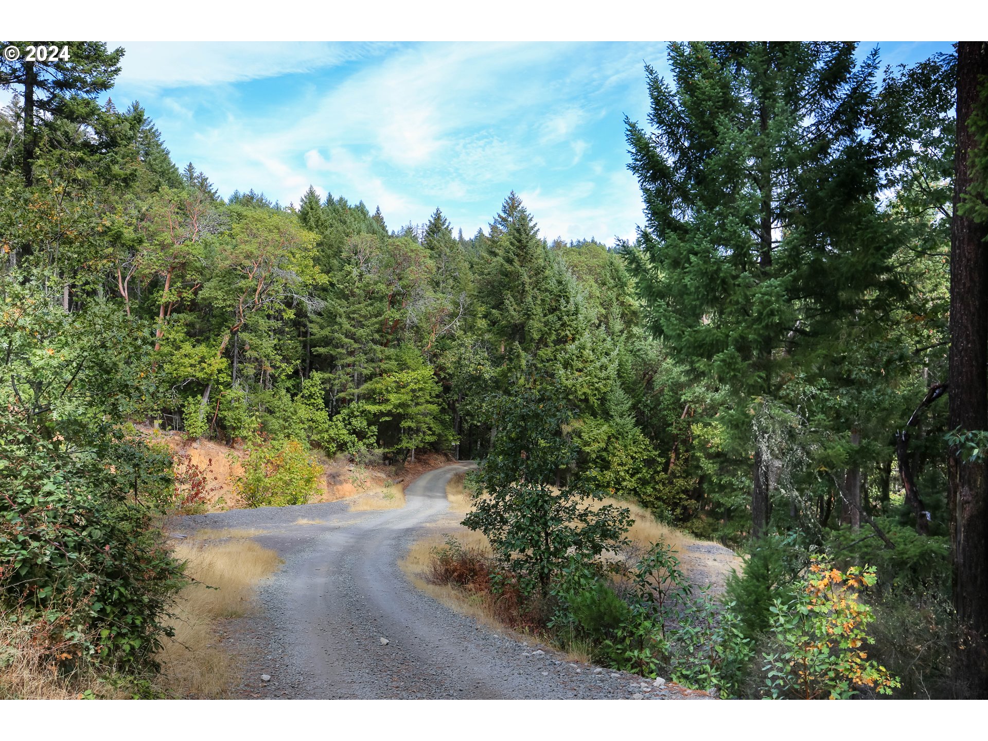 Quartz Creek Rd Property Photo 16