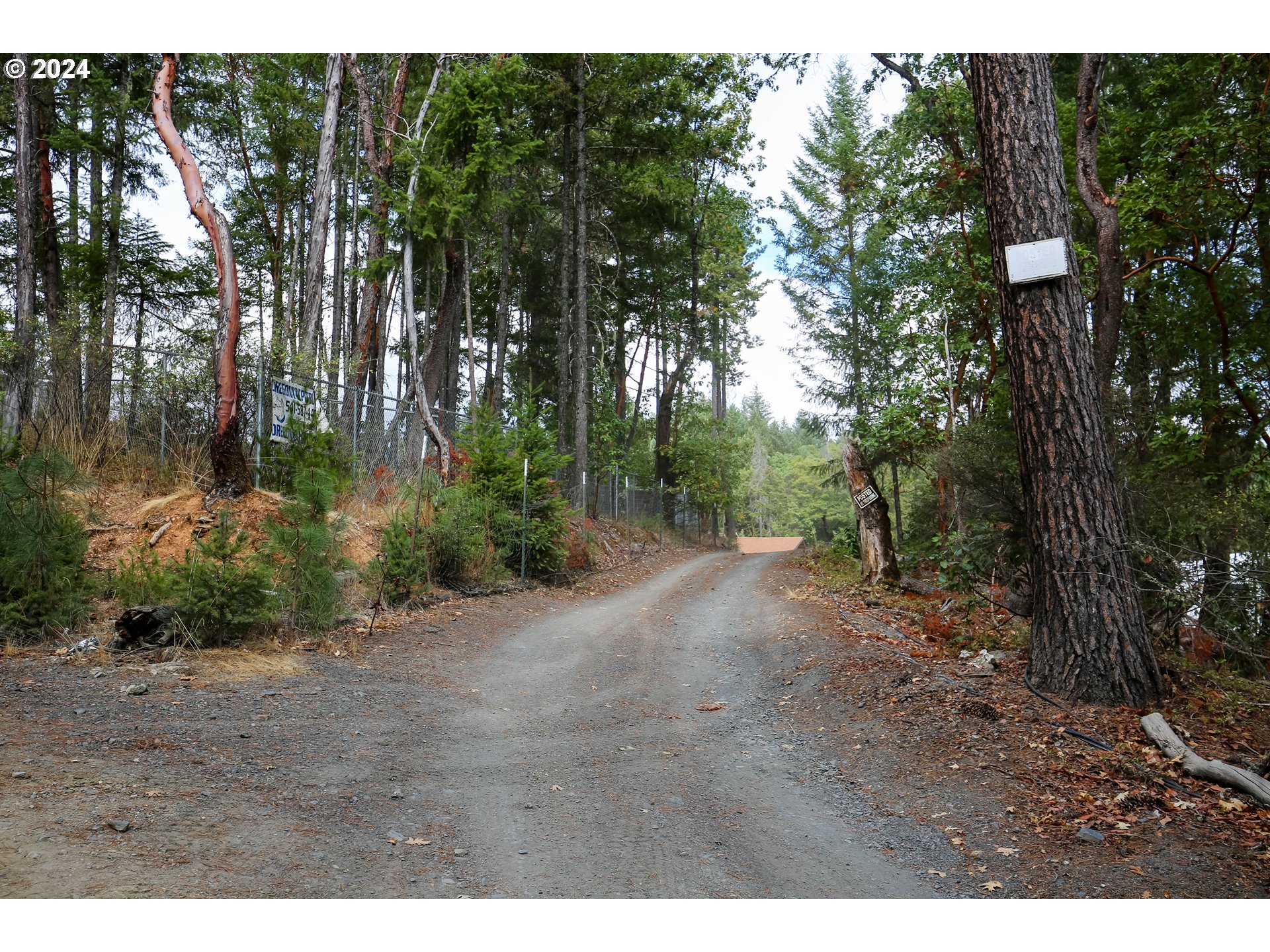 Quartz Creek Rd Property Photo 19