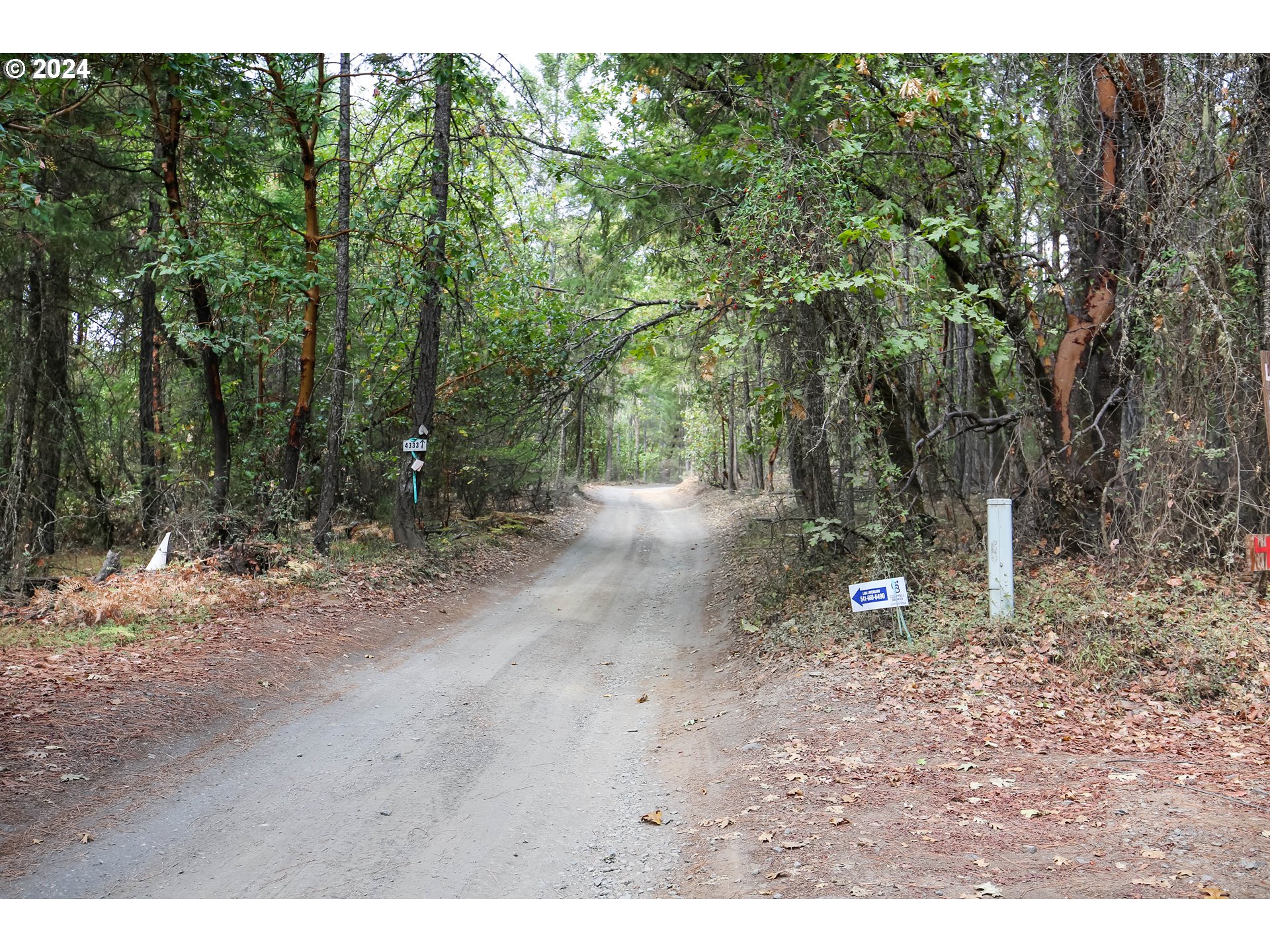 Quartz Creek Rd Property Photo 20