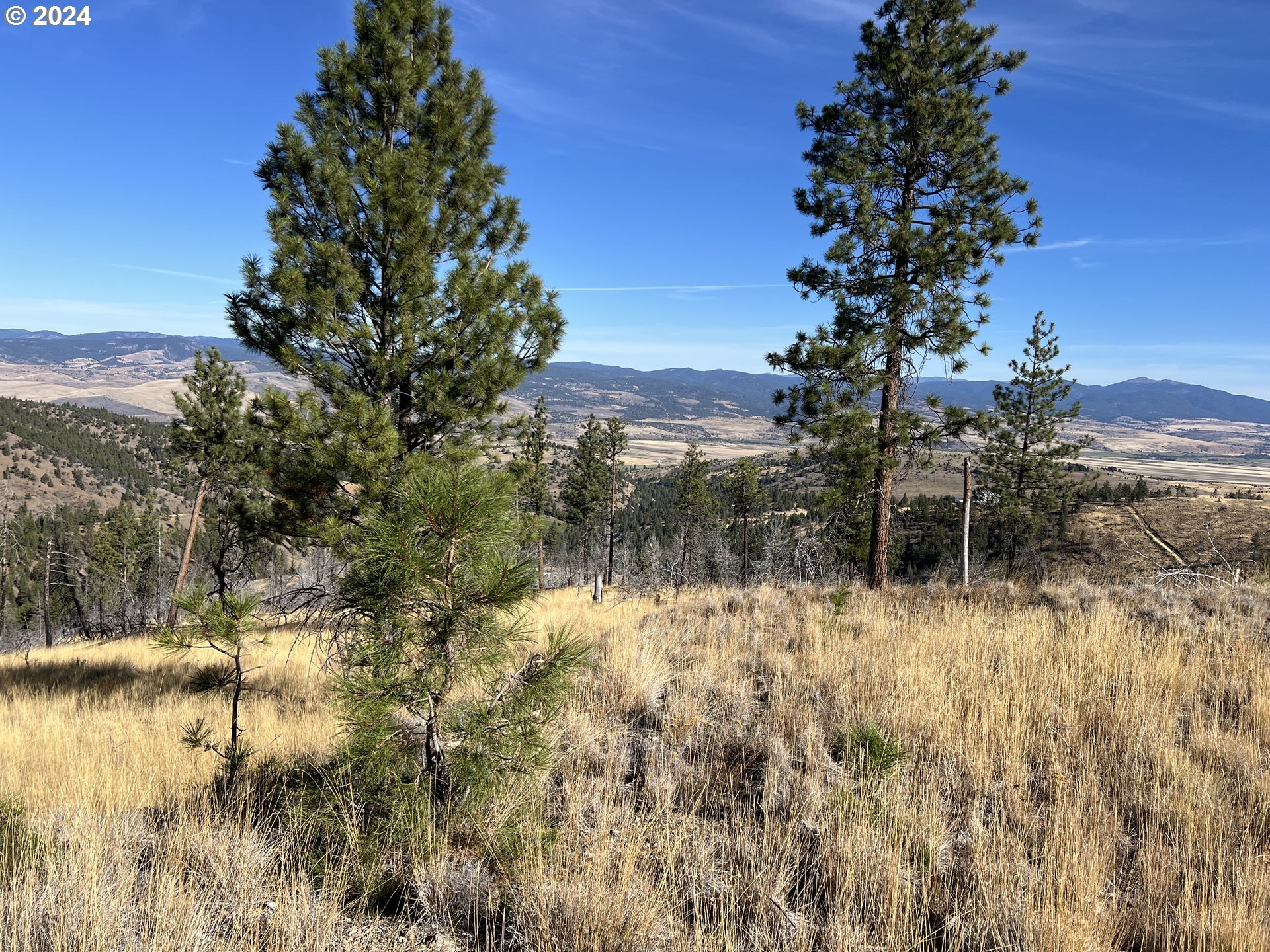 25422 Baldy Mountain Rd Property Photo 1