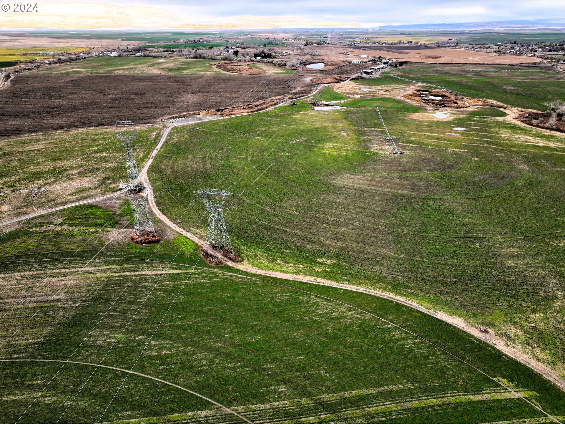 Bellinger Property Photo 1