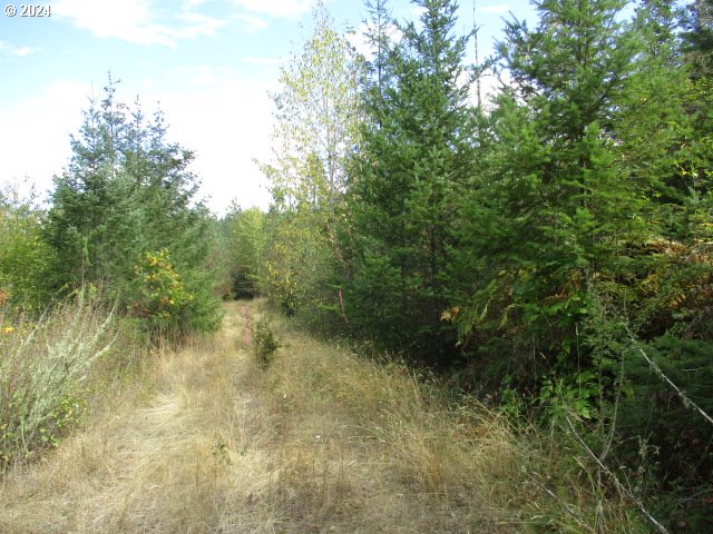 00 Bellinger Scale (2) Rd Property Photo 2