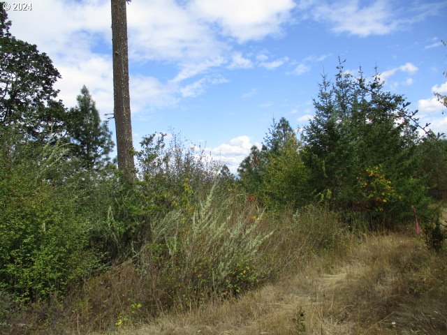 00 Bellinger Scale (2) Rd Property Photo 3