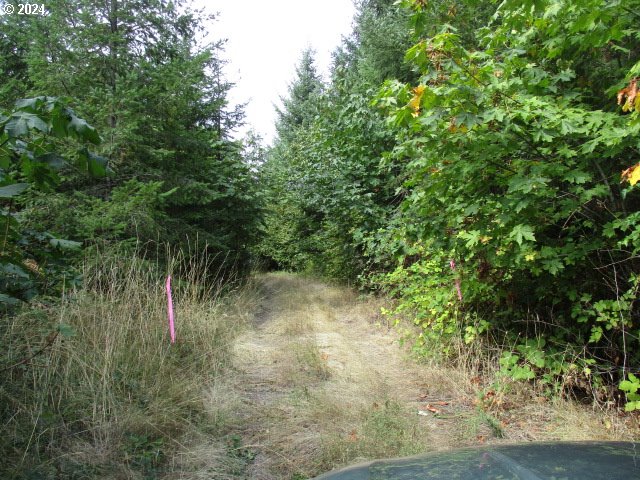 00 Bellinger Scale (2) Rd Property Photo 4