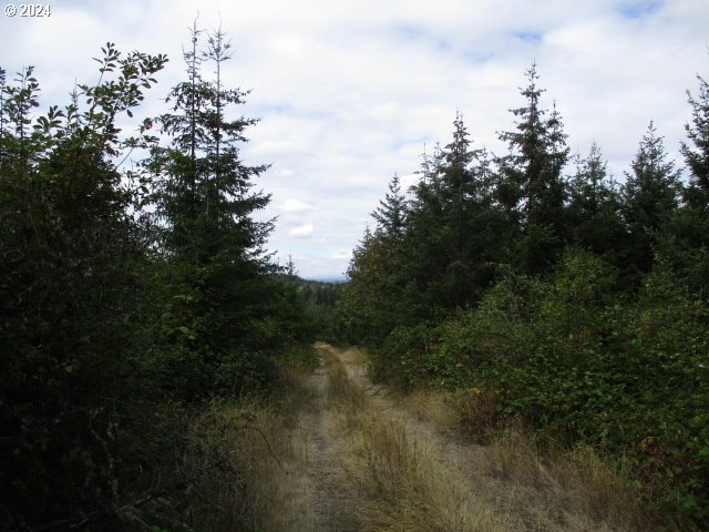 00 Bellinger Scale (2) Rd Property Photo 5