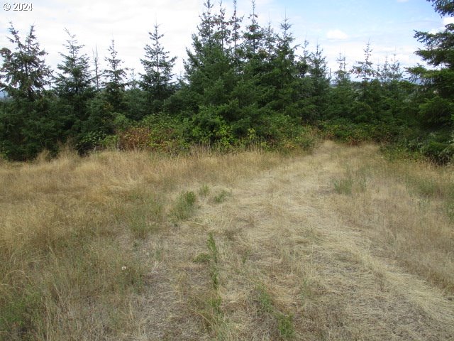 00 Bellinger Scale (2) Rd Property Photo 6