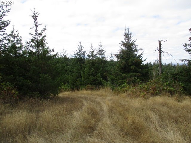 00 Bellinger Scale (2) Rd Property Photo 7
