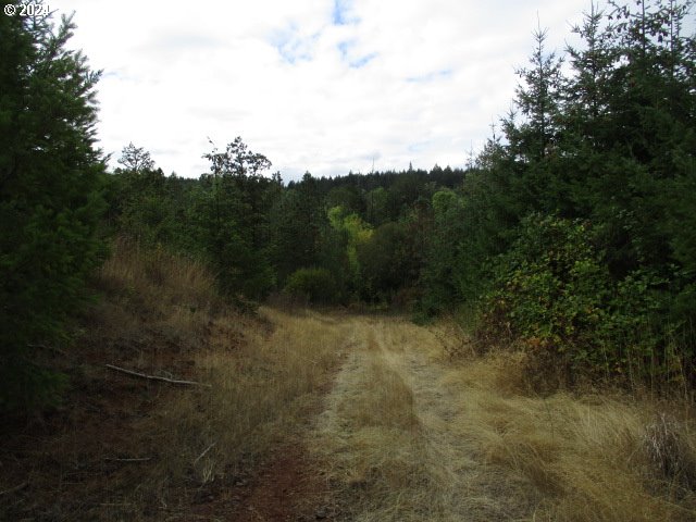 00 Bellinger Scale (2) Rd Property Photo 8