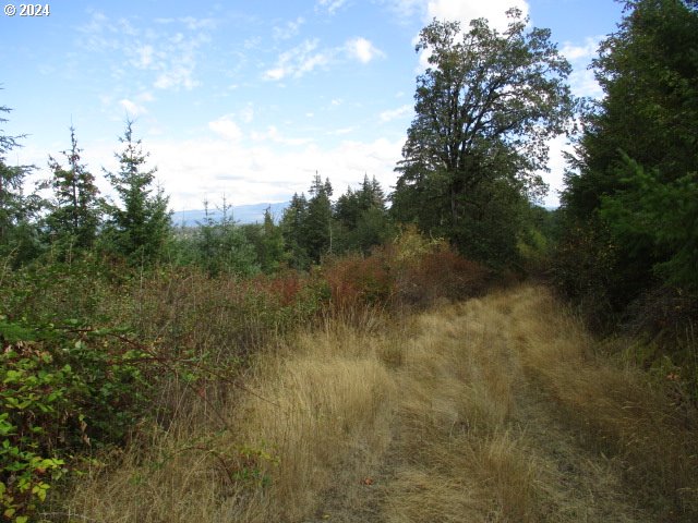 00 Bellinger Scale (2) Rd Property Photo 9