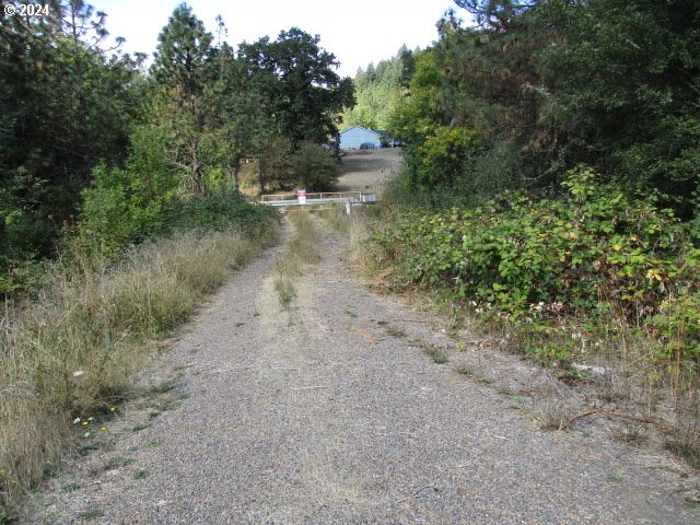 00 Bellinger Scale (2) Rd Property Photo 10