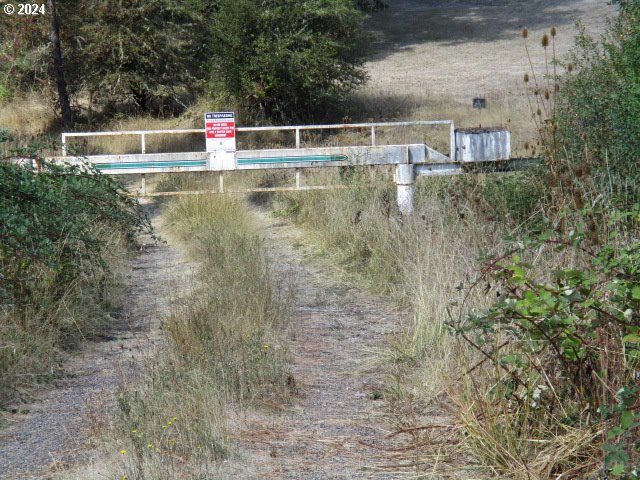 00 Bellinger Scale (2) Rd Property Photo 11