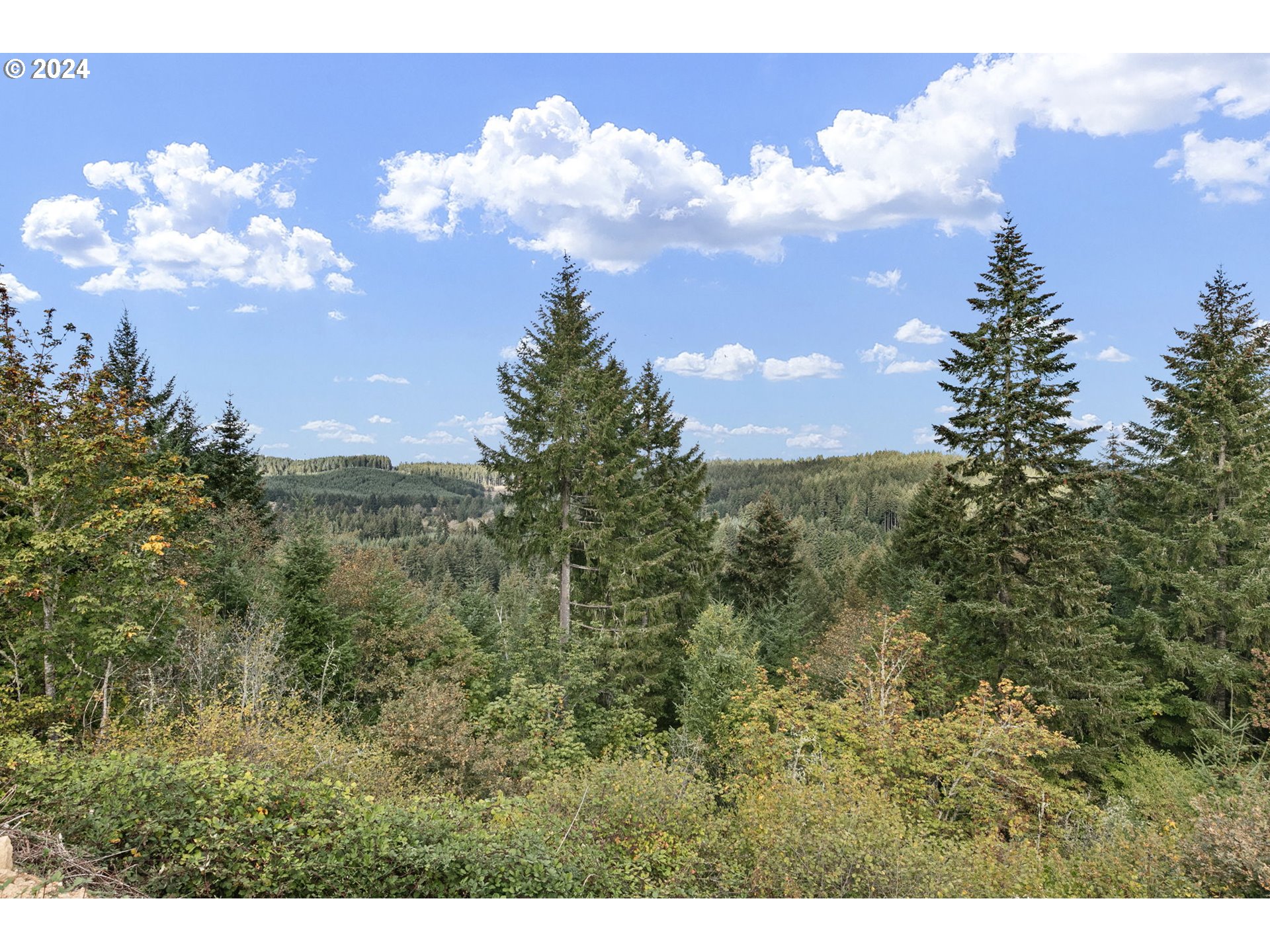 24977 Sturtevant Dr Property Photo 9