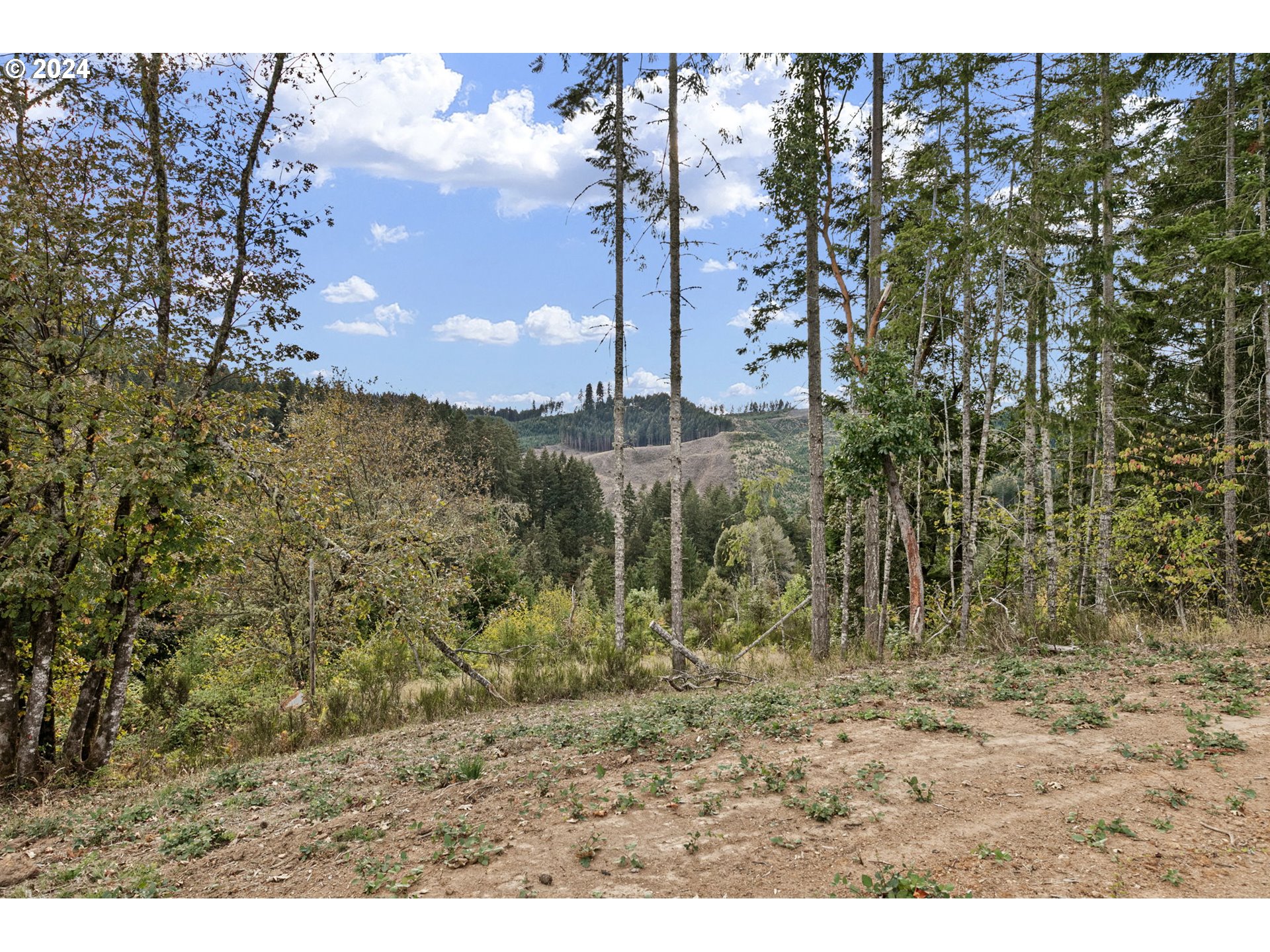 24977 Sturtevant Dr Property Photo 12