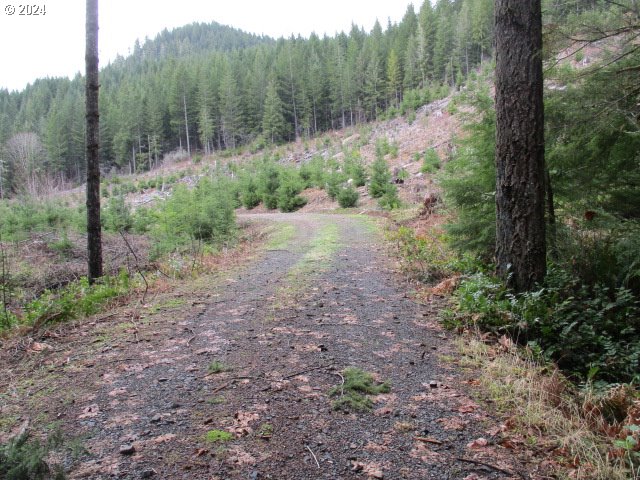 000 Quartzville Rd Property Photo 1