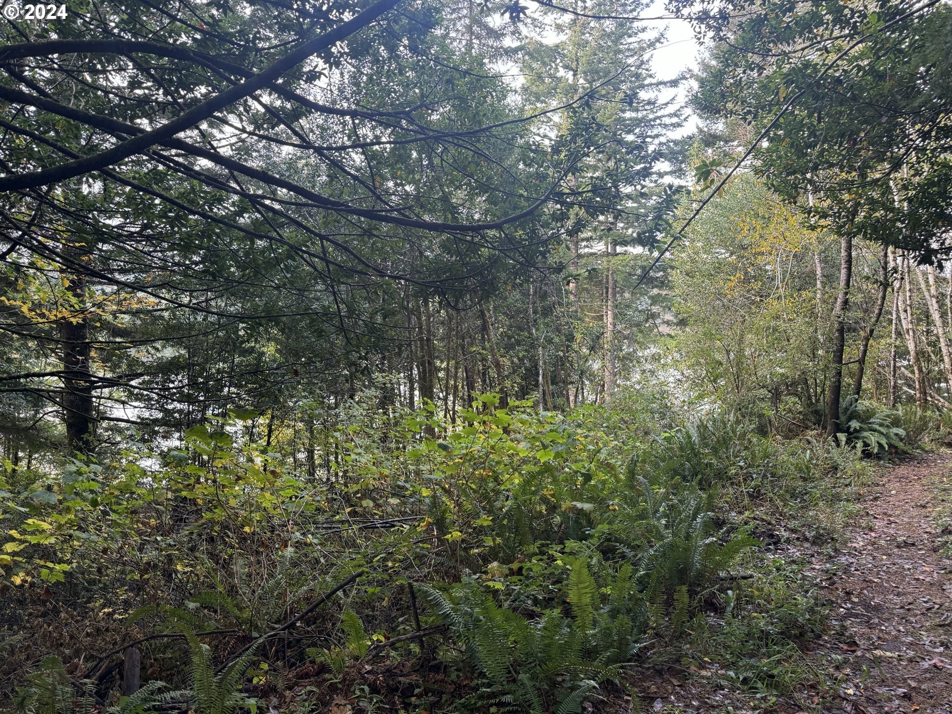 0 Potato Bottom Rd 603 Property Photo 11