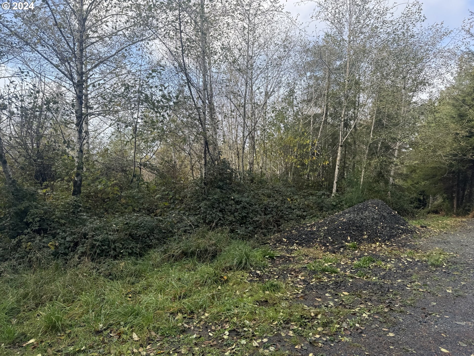 0 Potato Bottom Rd 603 Property Photo 26