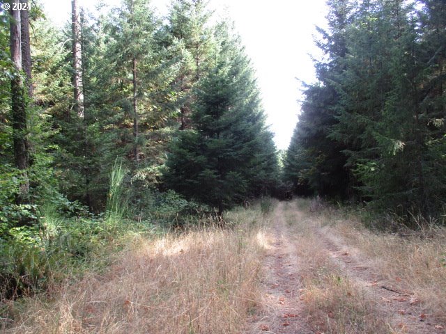 000 Nw Crane (3) Ln Property Photo 1