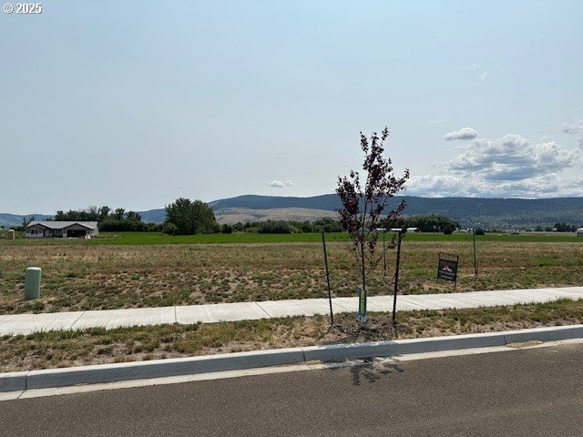 10605 Greg Ln Property Photo 1