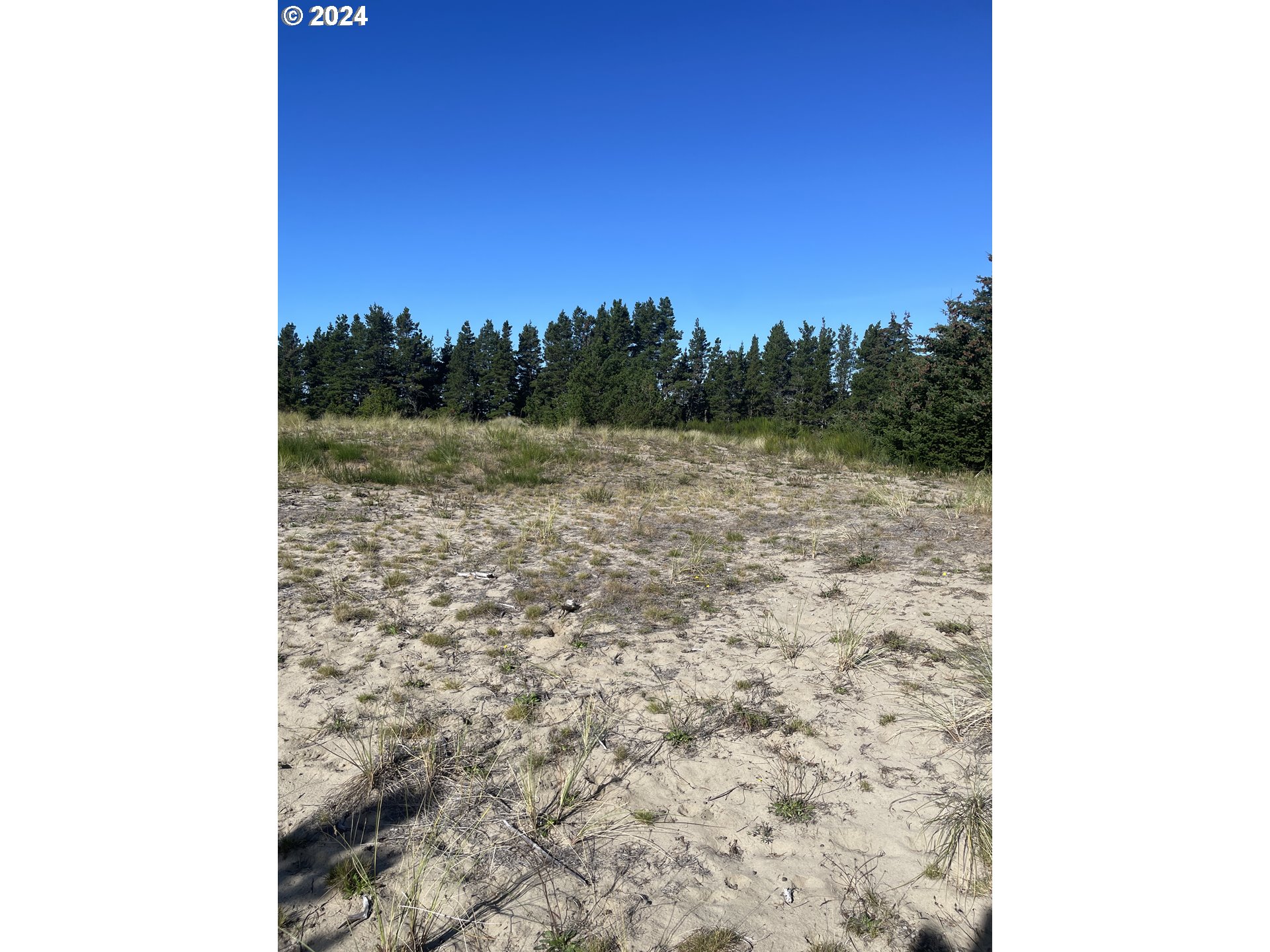 Pine Ridge Dr 71 Property Photo 2