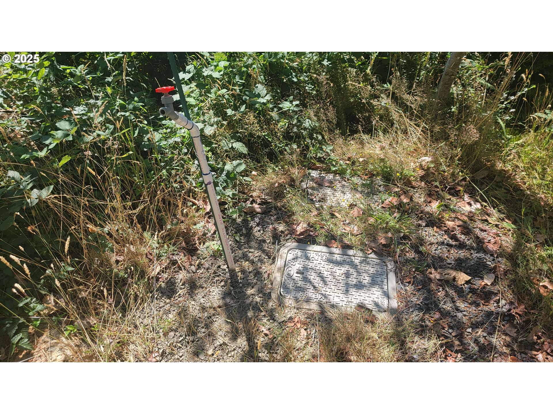 62967 Rosebud Dr Property Photo 5