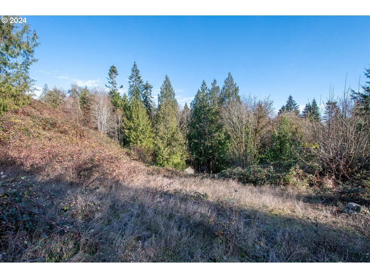 145 Newt Estates Rd W Property Photo 22