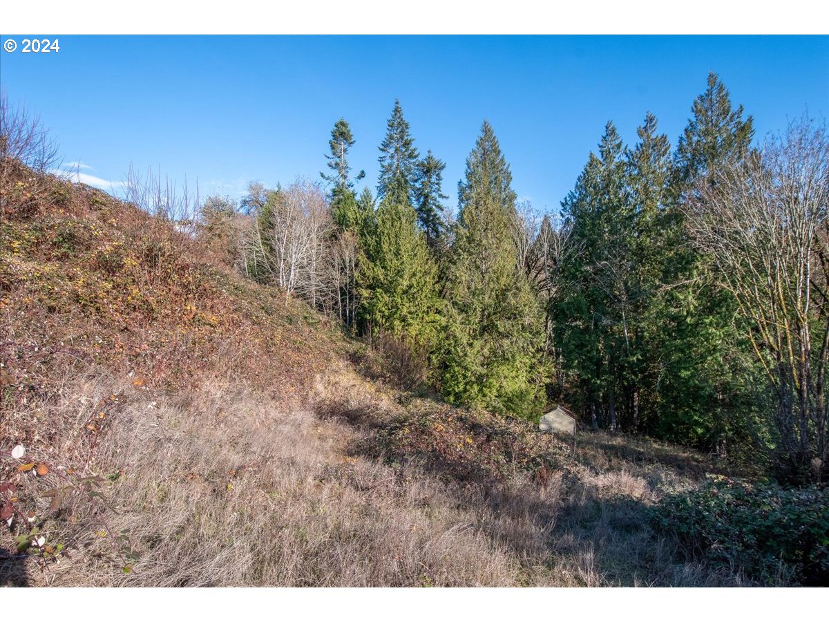 145 Newt Estates Rd W Property Photo 23