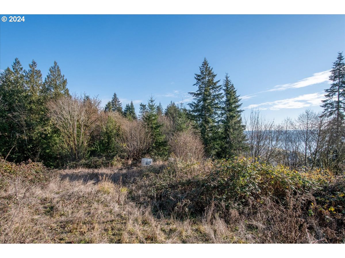 145 Newt Estates Rd W Property Photo 24