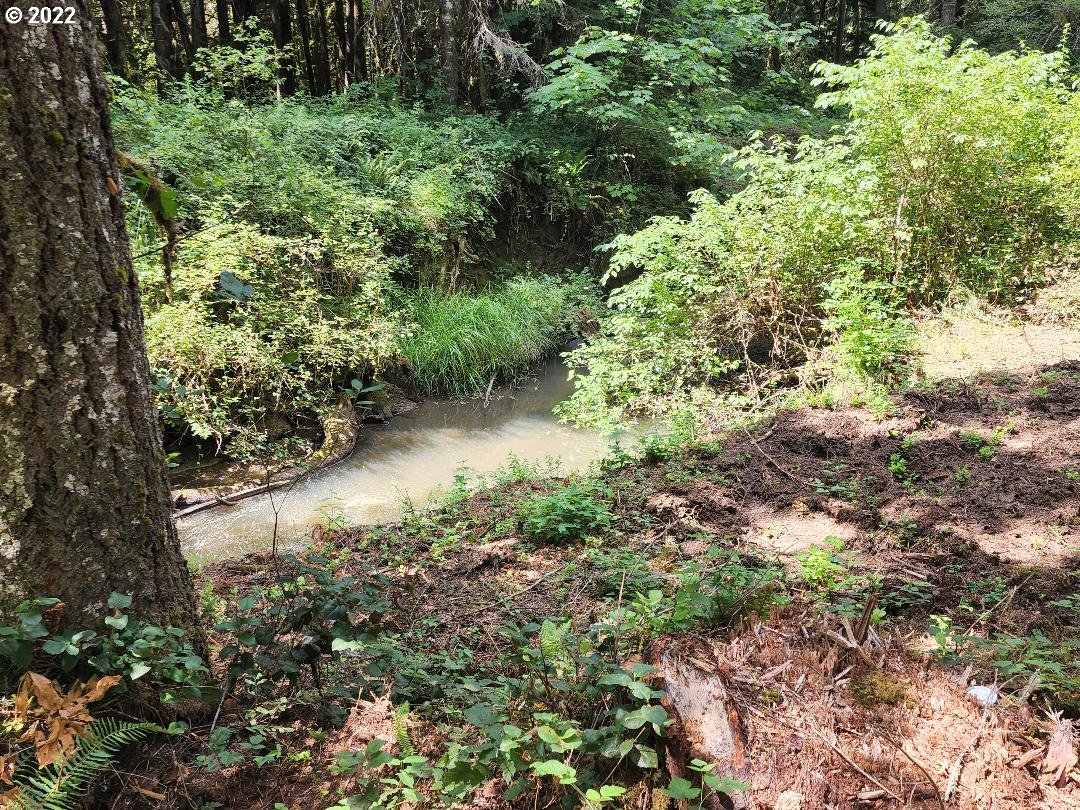 501 Carpenter Bypass Rd Property Photo 1