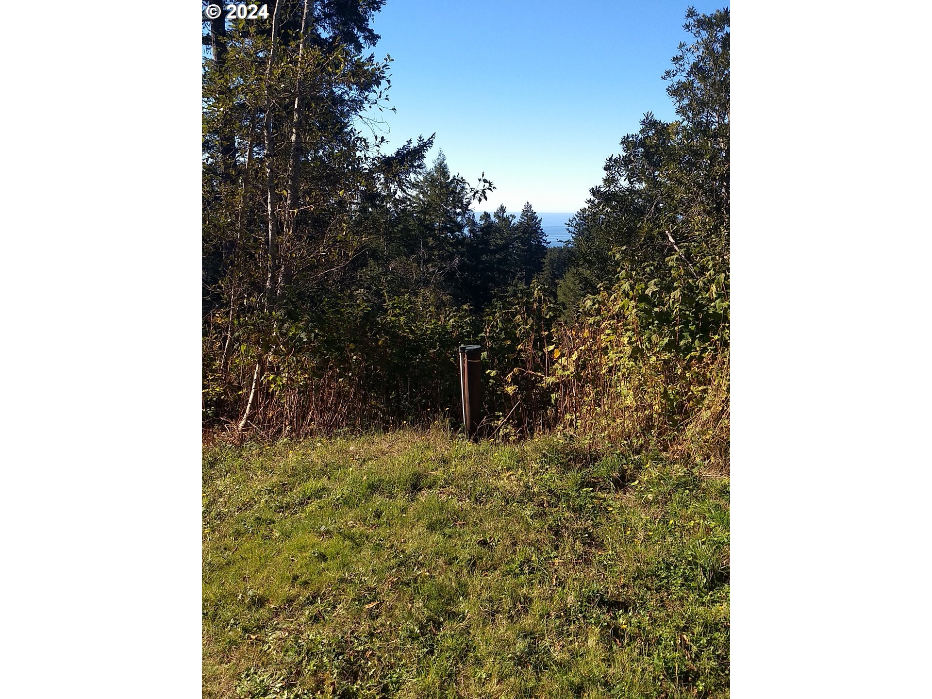Rhody Dr #600 Property Photo 3