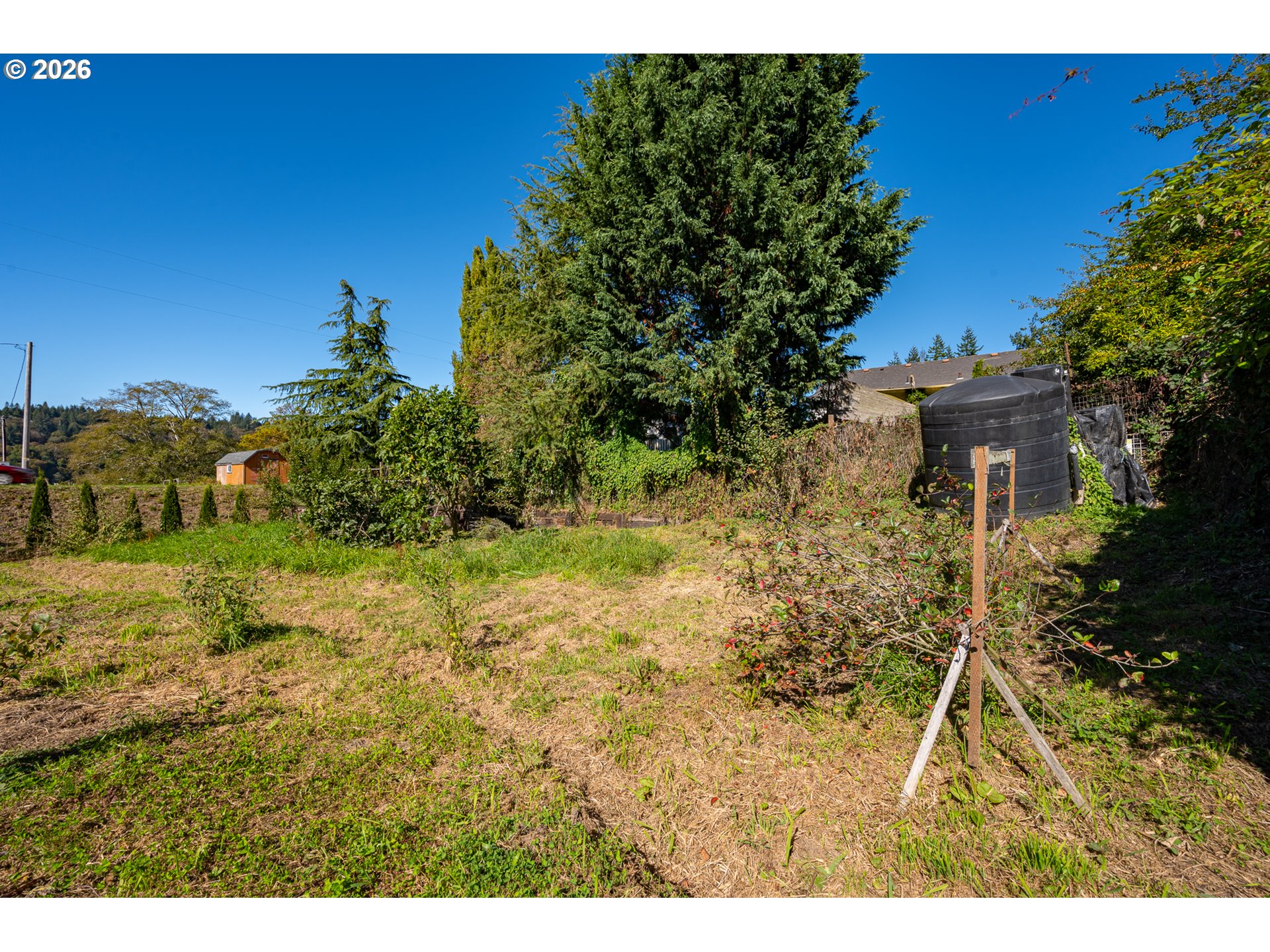 91445 Main Ln Property Photo 31