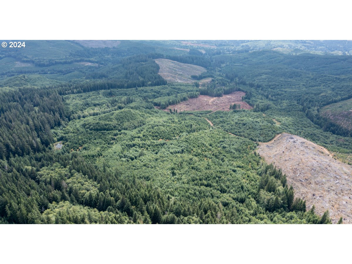 0 Saddle Mountain RD