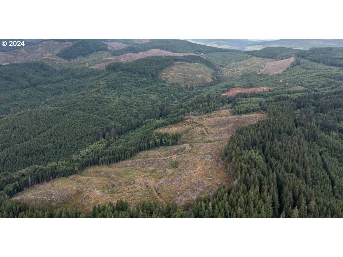 0 Saddle Mountain Rd Property Photo 2