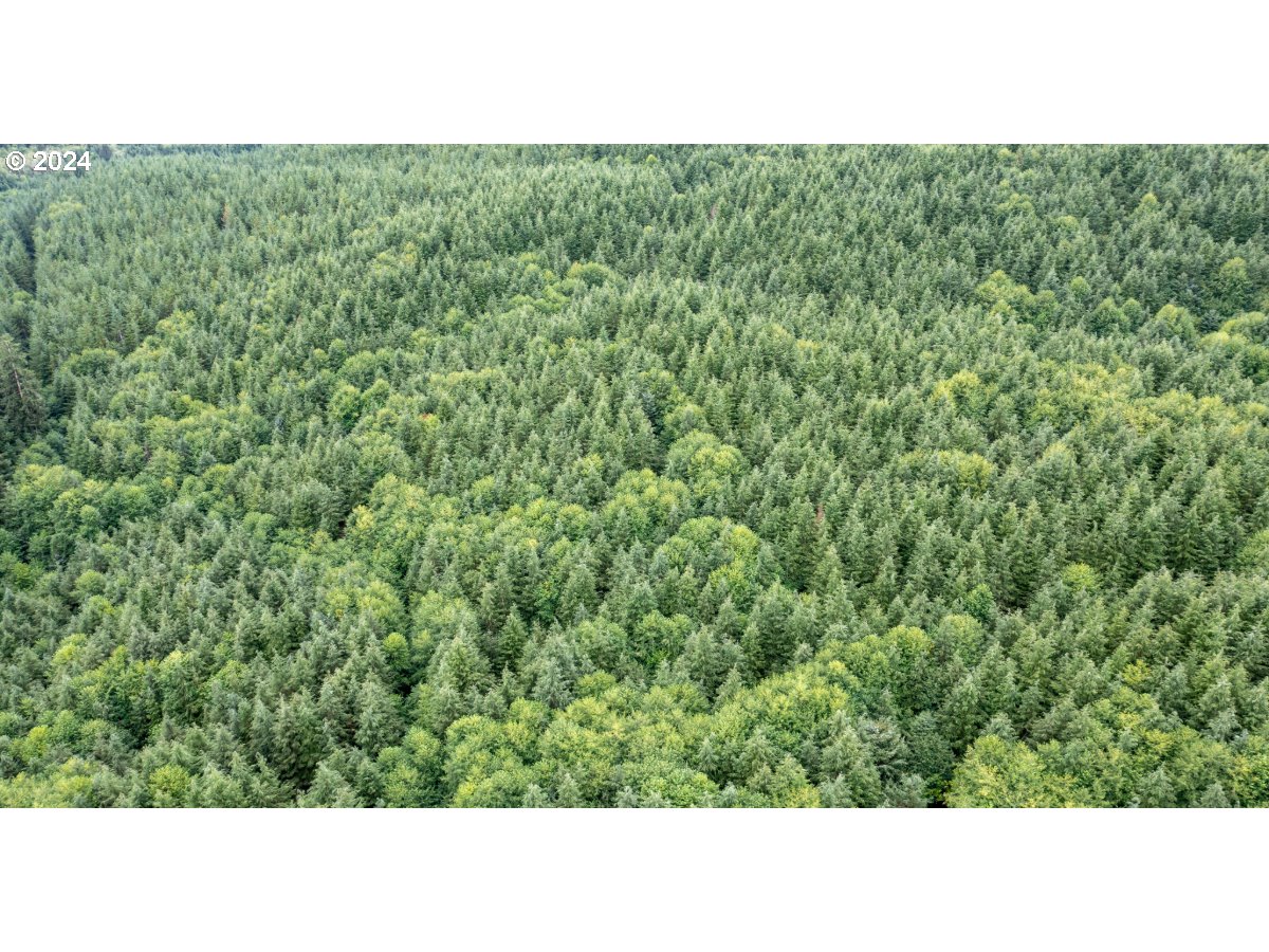 0 Saddle Mountain Rd Property Photo 3