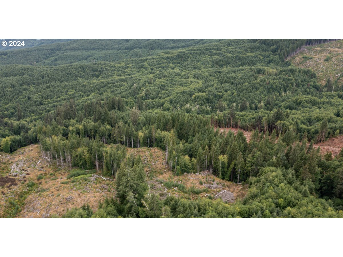 0 Saddle Mountain Rd Property Photo 4