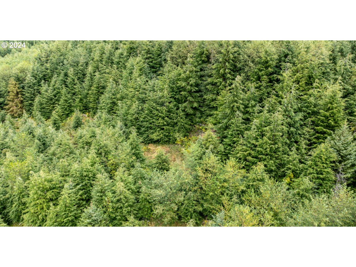 0 Saddle Mountain Rd Property Photo 5